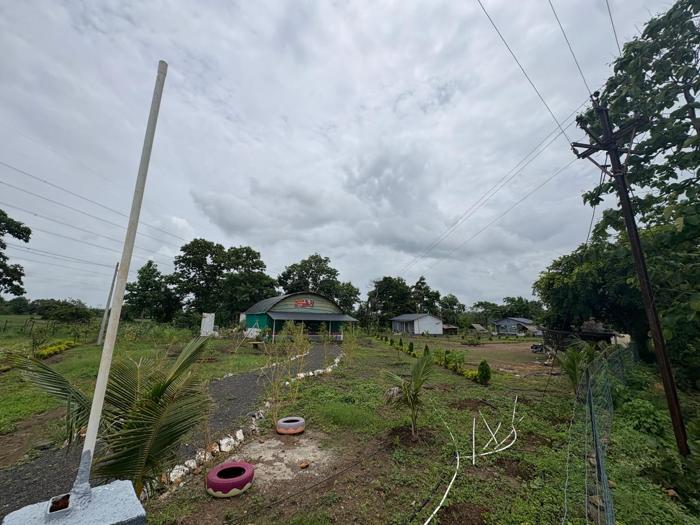 Approach to the Nandai Gate stay, with pathways, planting and buildings.