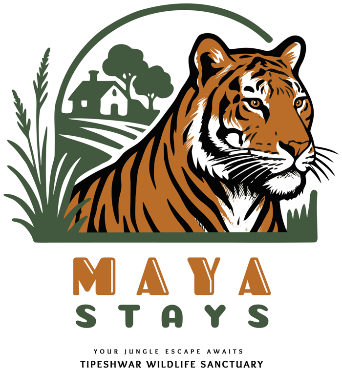 Maya Stays. Your jungle escape awaits. Tipeshwar Wildlife Sanctuary.